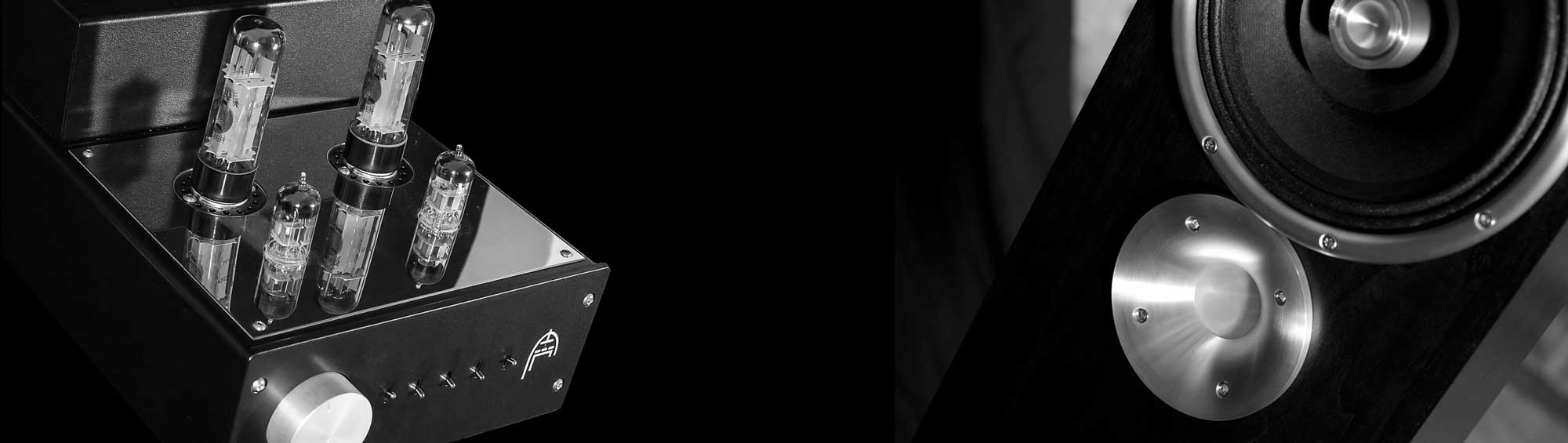 audion-and-zu-banner