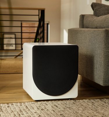 PS Audio Foundry F12 Subwoofer (pair)